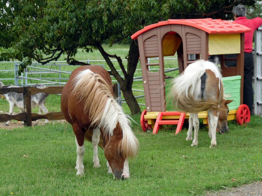 Bed And Breakfast Azienda Agricola Cascina Salazzara Ματζέντα Εξωτερικό φωτογραφία