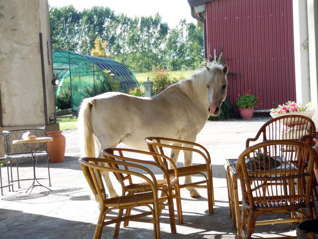 Bed And Breakfast Azienda Agricola Cascina Salazzara Ματζέντα Εξωτερικό φωτογραφία